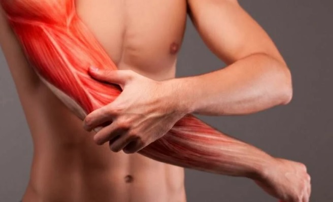 держится за мышцы 