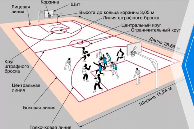 Разметка баскетбольной площадки
