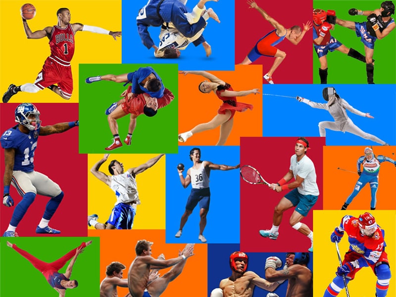 Виды спорта