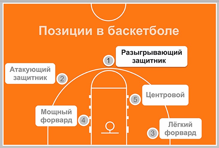 карта позиций на поле