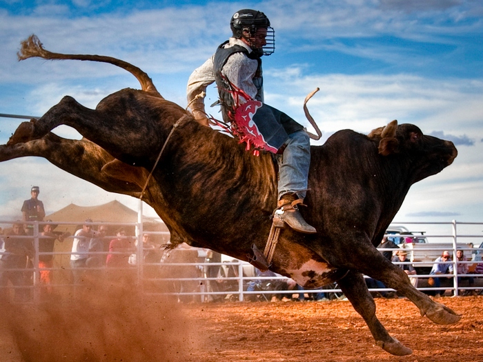 Бык и человек на нем