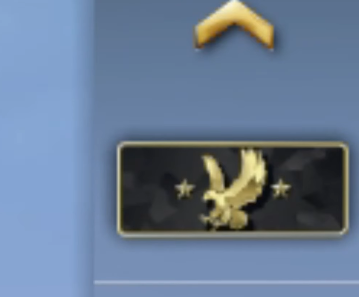 звание в кс го мм