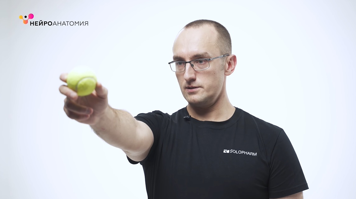 Физкультура