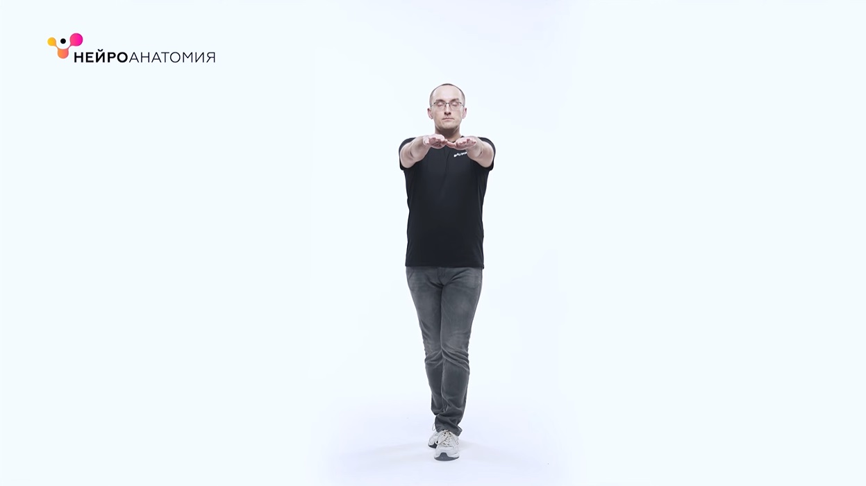 Физкультура упражнений