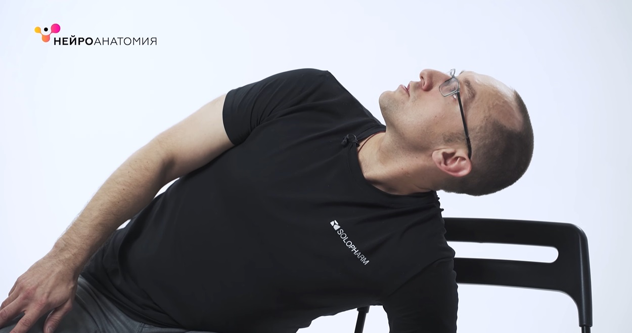 Физкультура растяжки