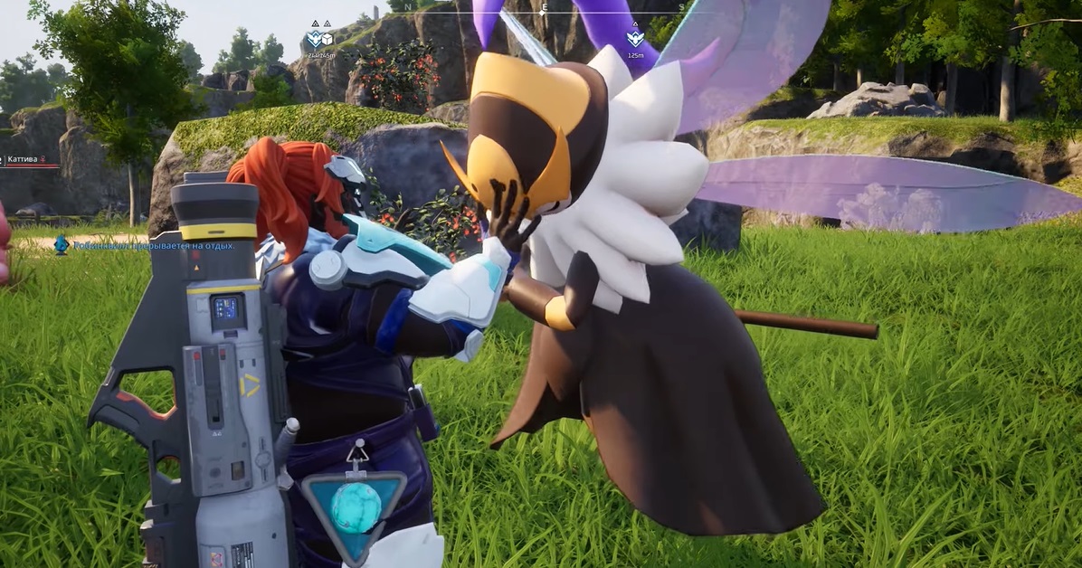 Пчела и человек