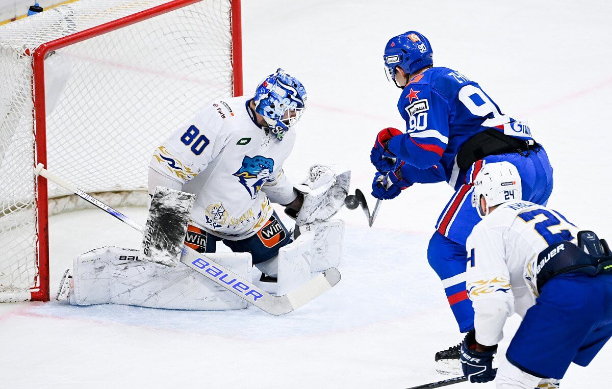 Ворота и игроки