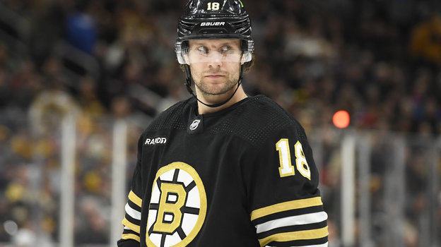 Пастрняк хоккеист