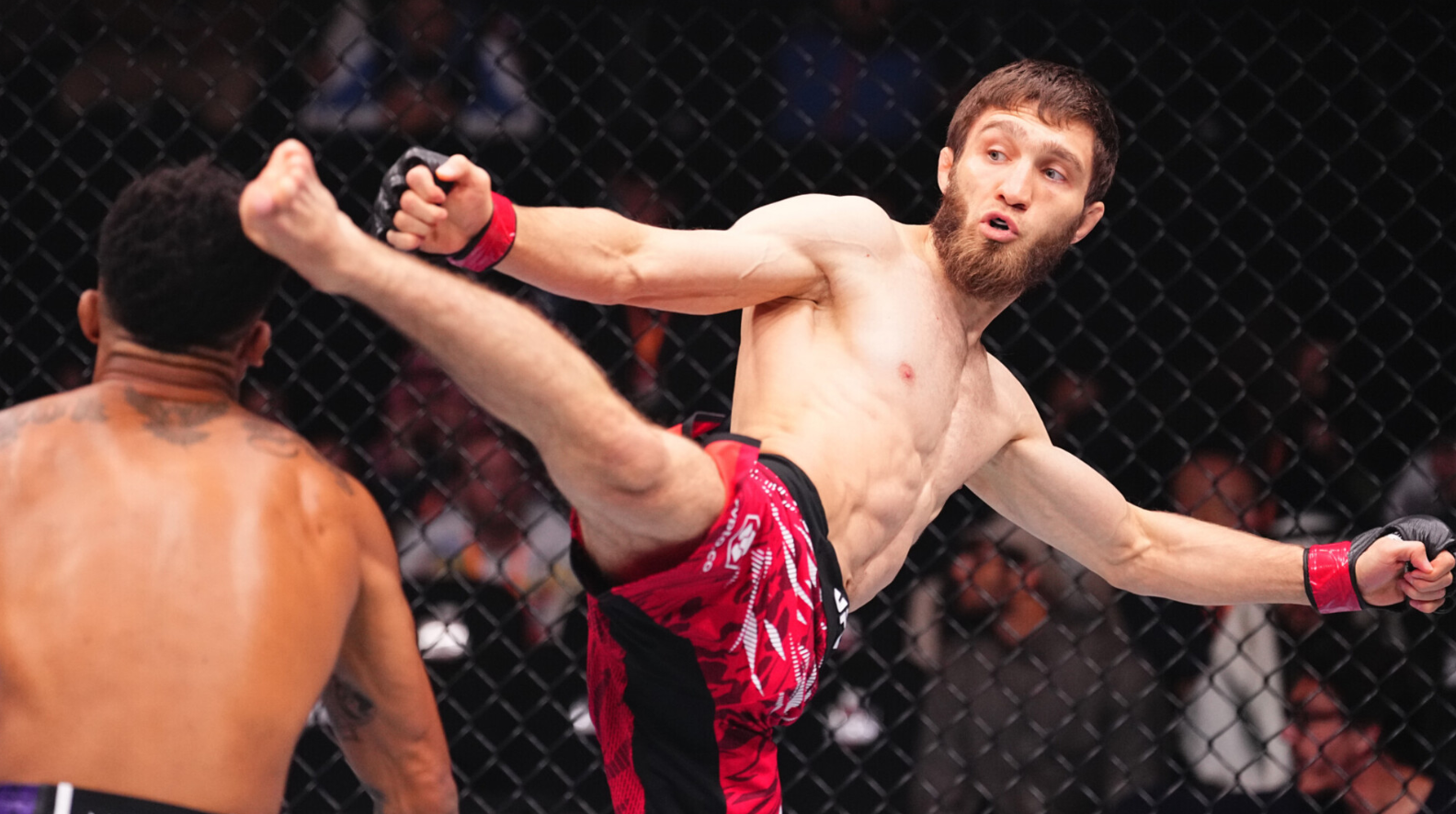 Americký boj dominuje UFC a jak se bránit